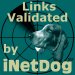 Link Checker Icon