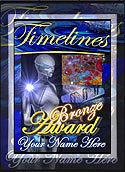 Bronze Award
